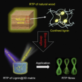 Sustainable afterglow materials from lignin inspired by wood phosphorescence